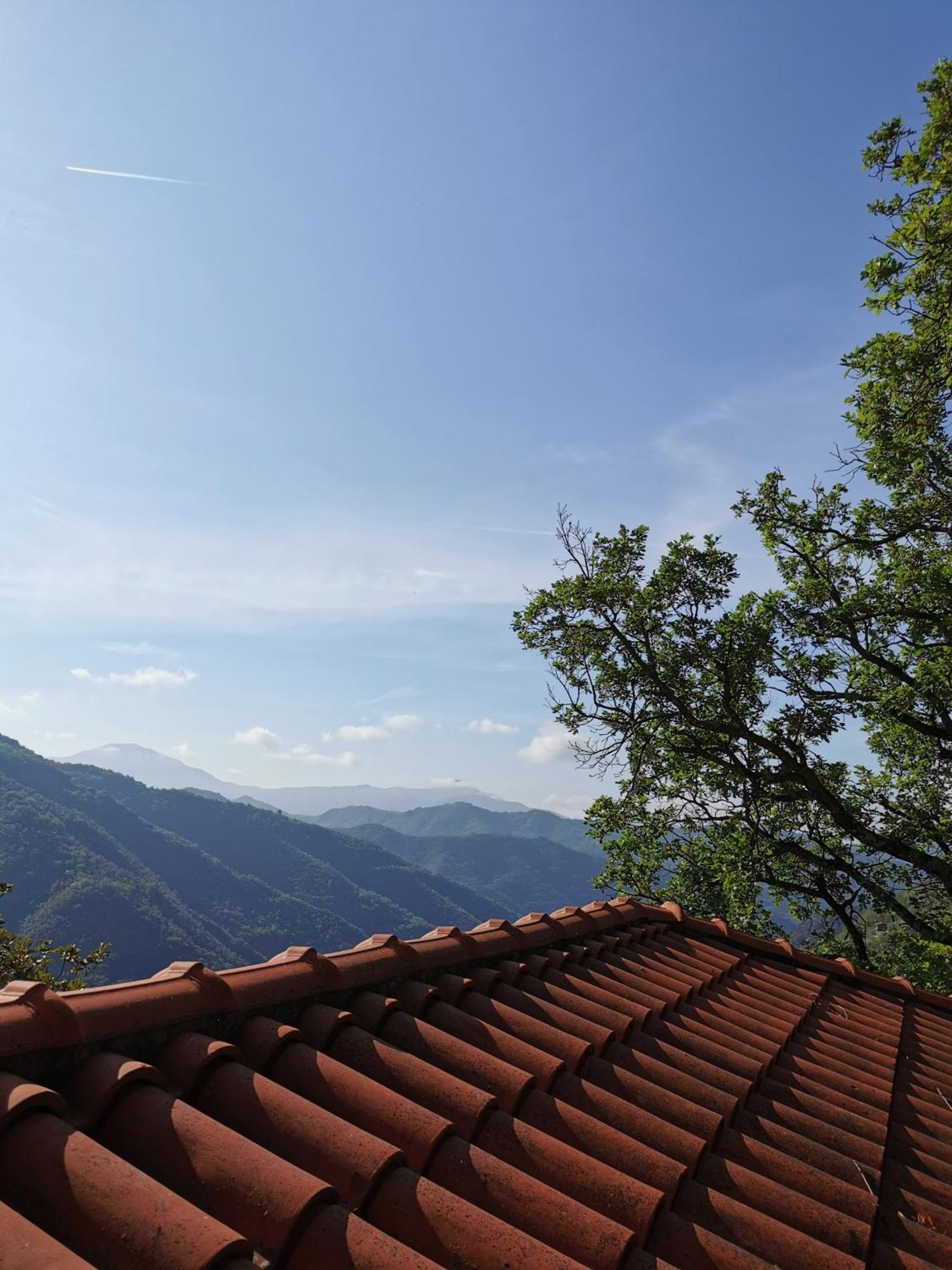 Bed and Breakfast L'Albero Del Cioccolato Pigna Habitación foto
